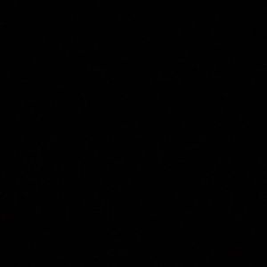 Meet your Posher, Kena